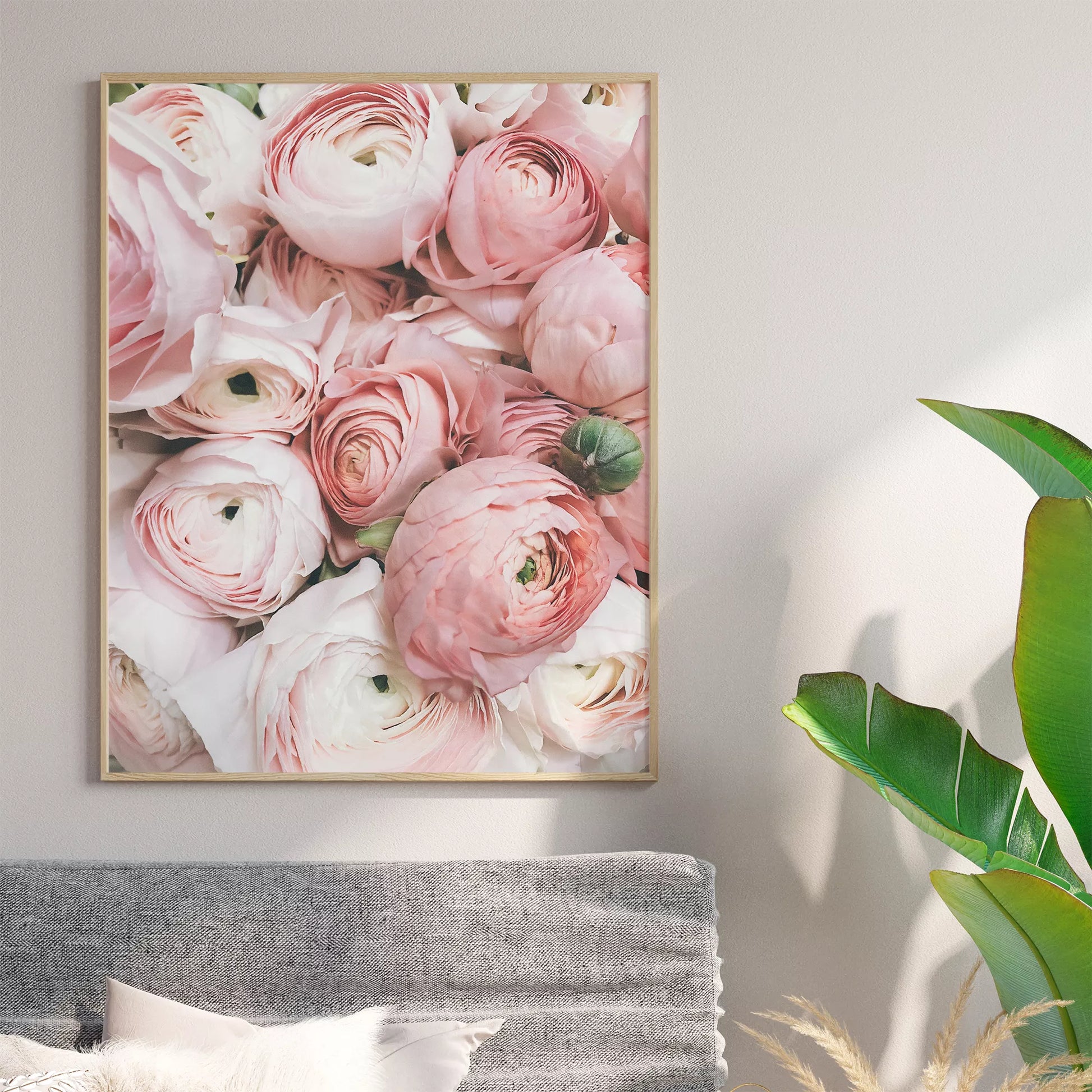 優美なピンクのラナンキュラスの花束をクローズアップで撮影したアート作品。淡いピンクから白へのグラデーションと繊細な花びらの重なりが印象的で、柔らかな光に包まれた華やかな雰囲気を演出しています。