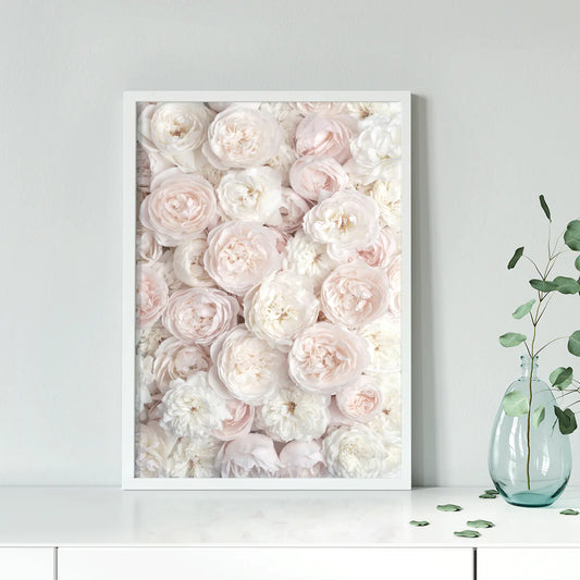 Elegant pastel rose wallpaper