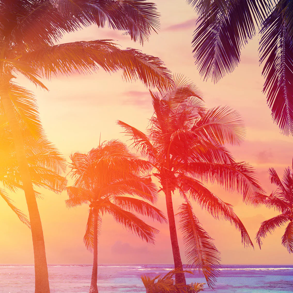 Wall art featuring a sunlit beach with palm trees during a vivid sunset