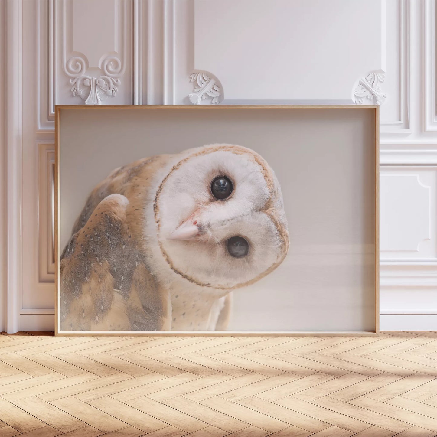 優しい表情のメンフクロウのクローズアップ写真、淡いベージュ背景