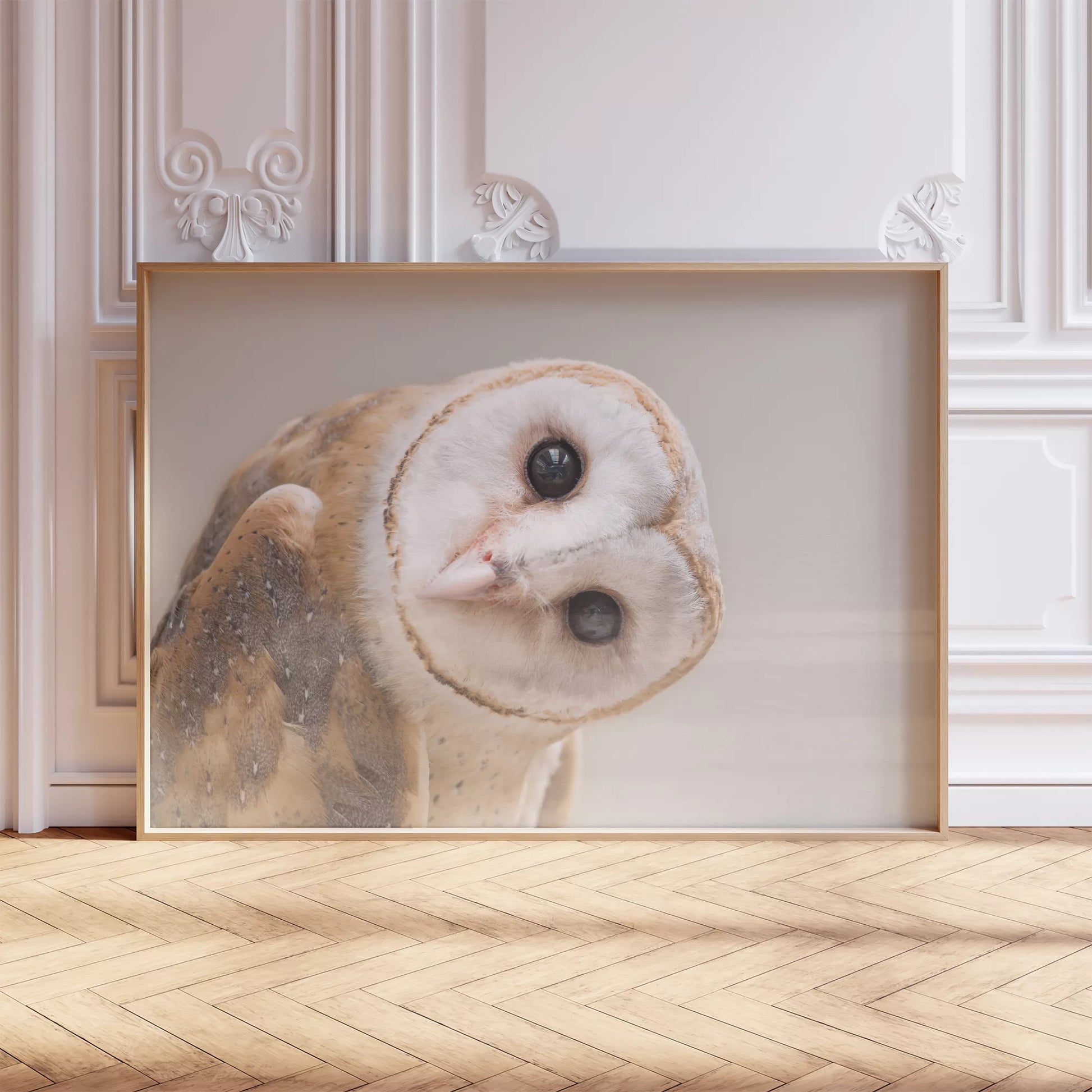 優しい表情のメンフクロウのクローズアップ写真、淡いベージュ背景