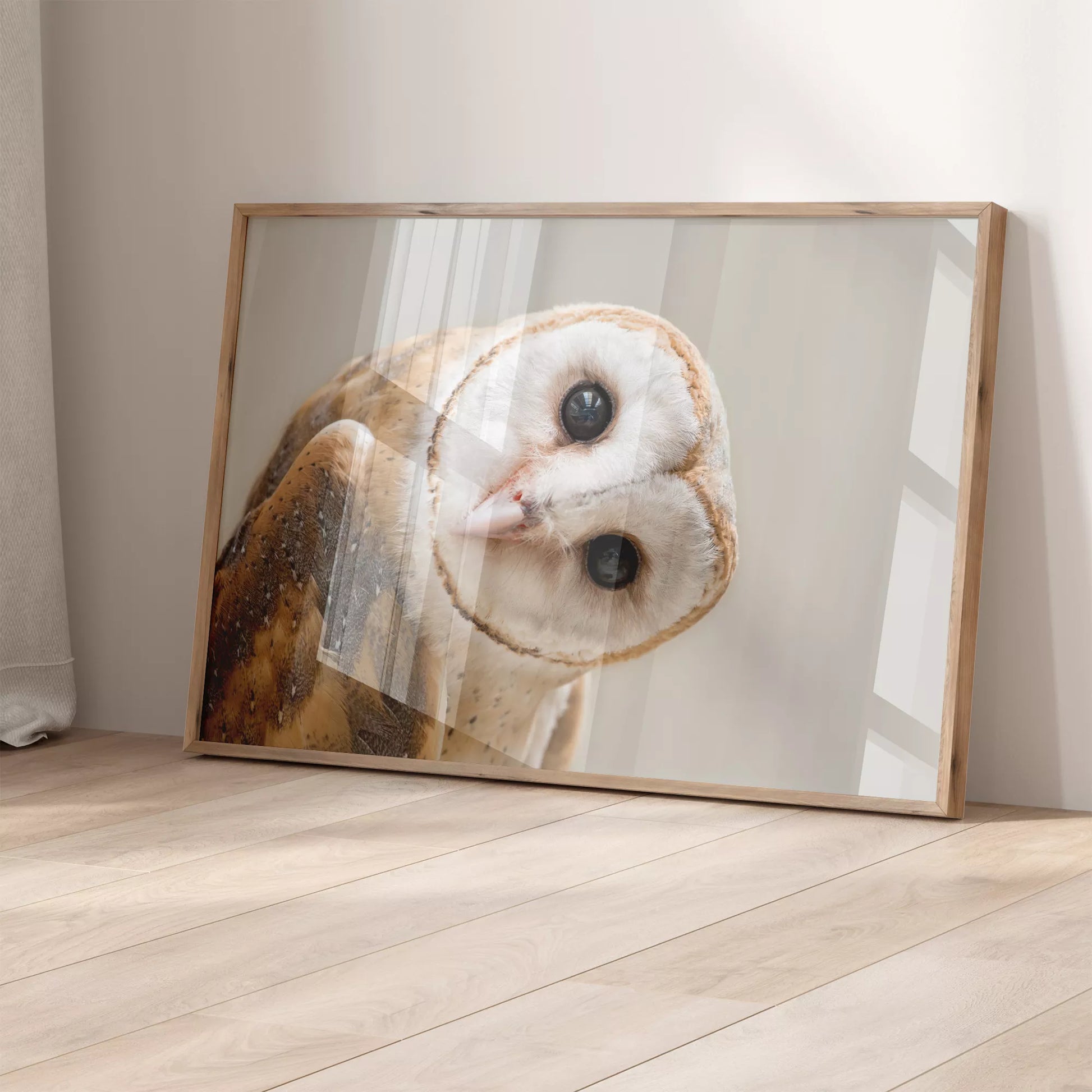 優しい表情のメンフクロウのクローズアップ写真、淡いベージュ背景