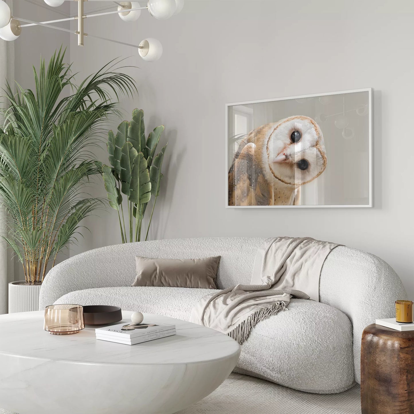 優しい表情のメンフクロウのクローズアップ写真、淡いベージュ背景