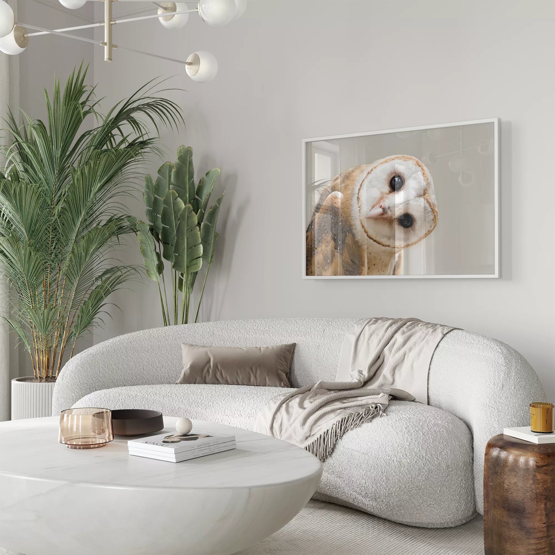 優しい表情のメンフクロウのクローズアップ写真、淡いベージュ背景