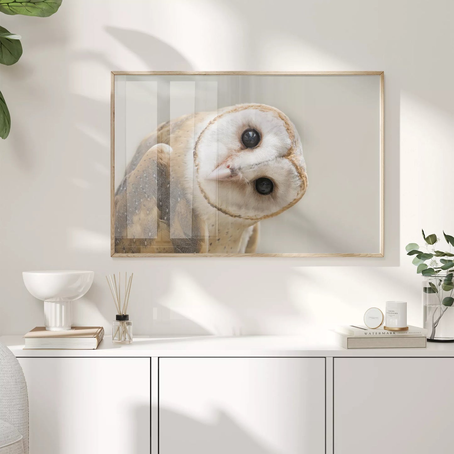 優しい表情のメンフクロウのクローズアップ写真、淡いベージュ背景