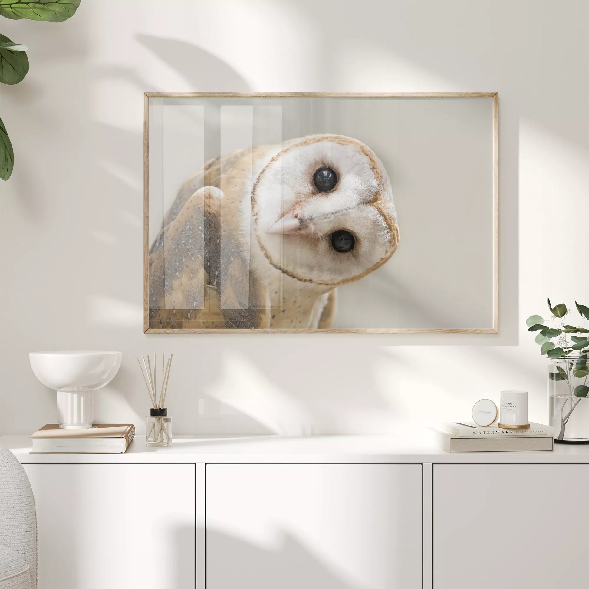 優しい表情のメンフクロウのクローズアップ写真、淡いベージュ背景