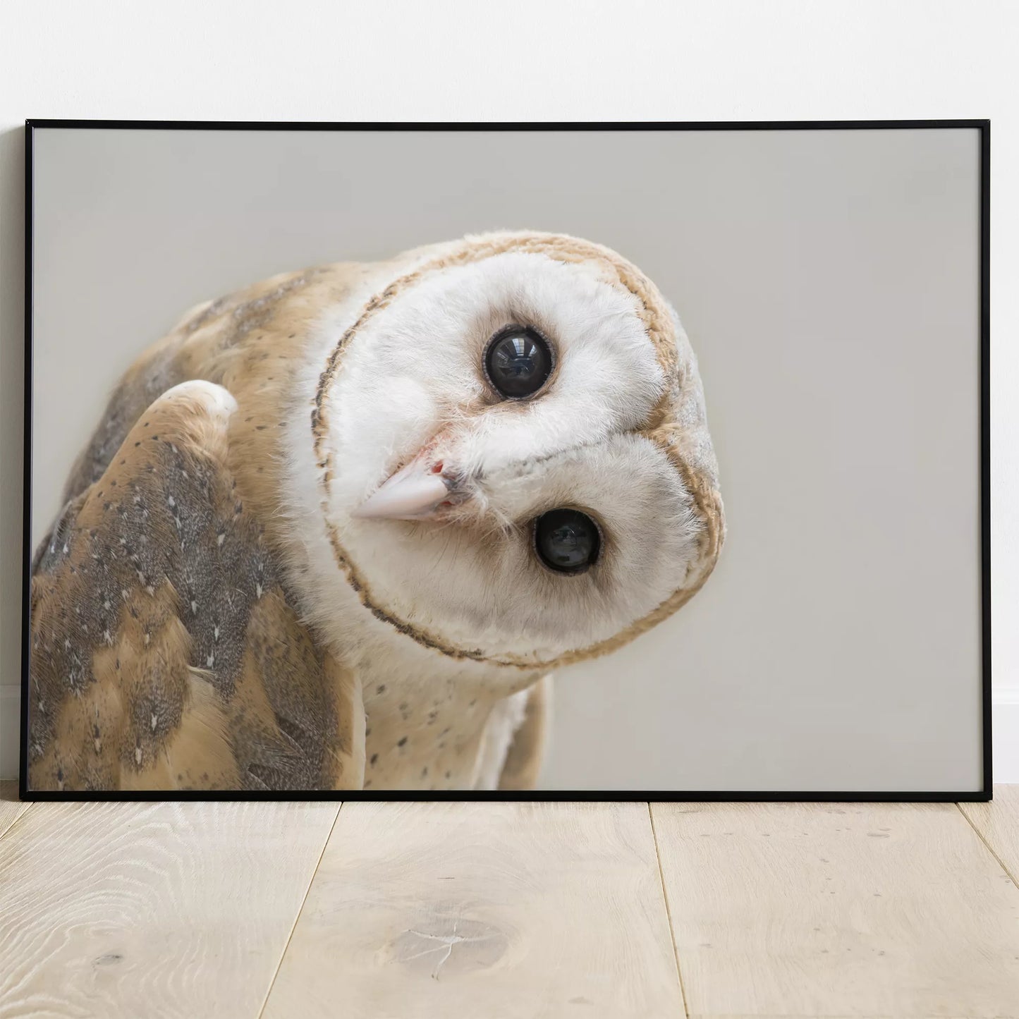 優しい表情のメンフクロウのクローズアップ写真、淡いベージュ背景