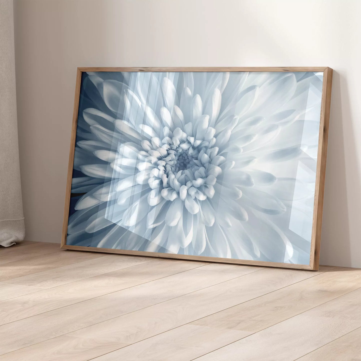 淡いブルーの菊の花のクローズアップ、モノクロームボタニカルアートポスター