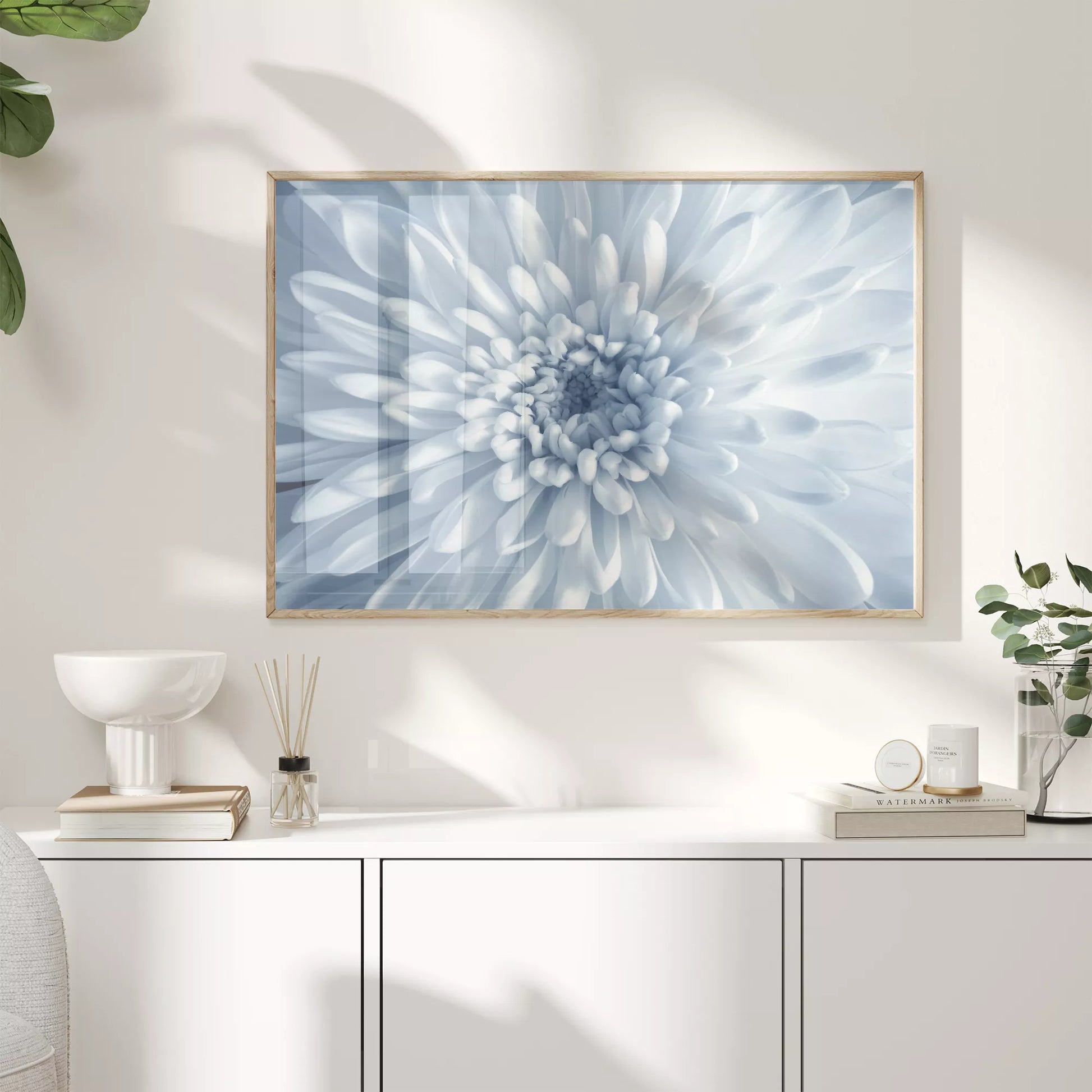 淡いブルーの菊の花のクローズアップ、モノクロームボタニカルアートポスター