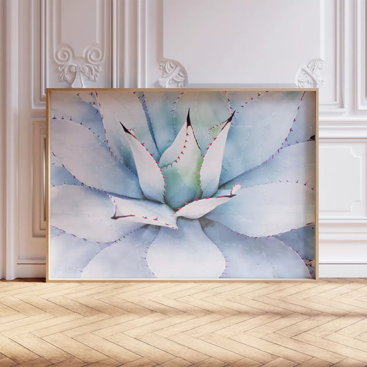 青みがかった多肉植物のクローズアップアートプリント