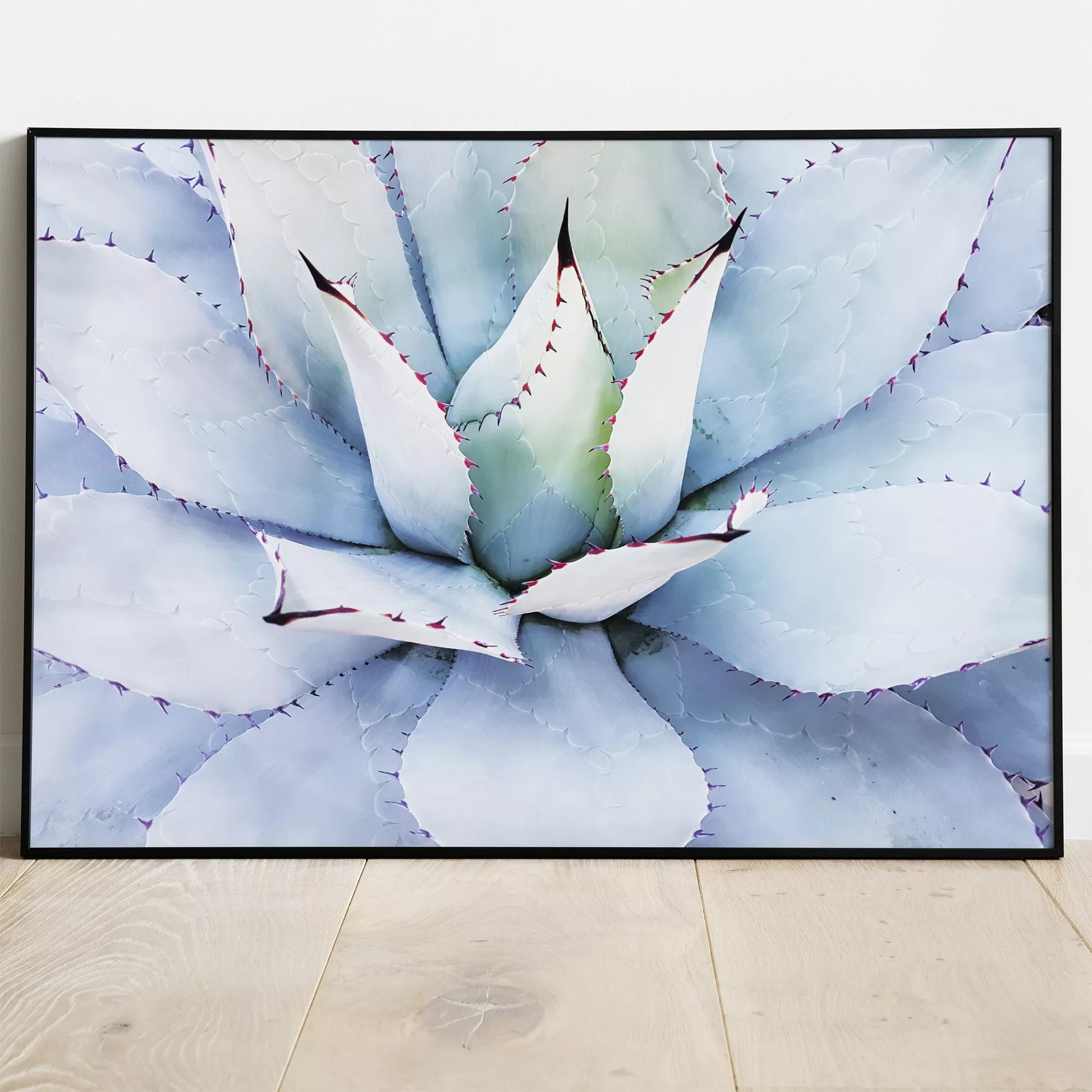 青みがかった多肉植物のクローズアップアートプリント