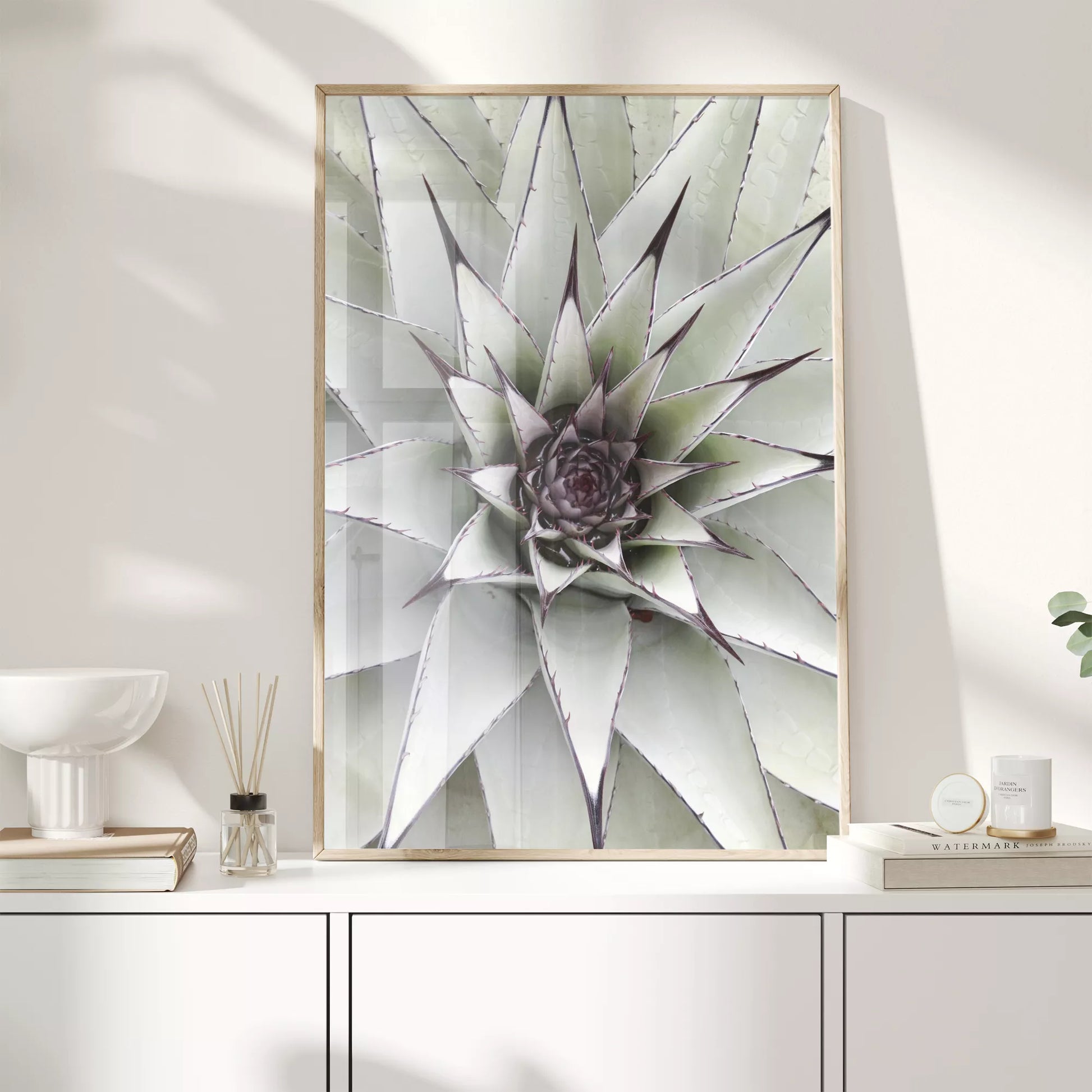 シルバーグレーのアガベの葉が放射状に広がる幾何学的なマクロ写真、モダンなボタニカルアート