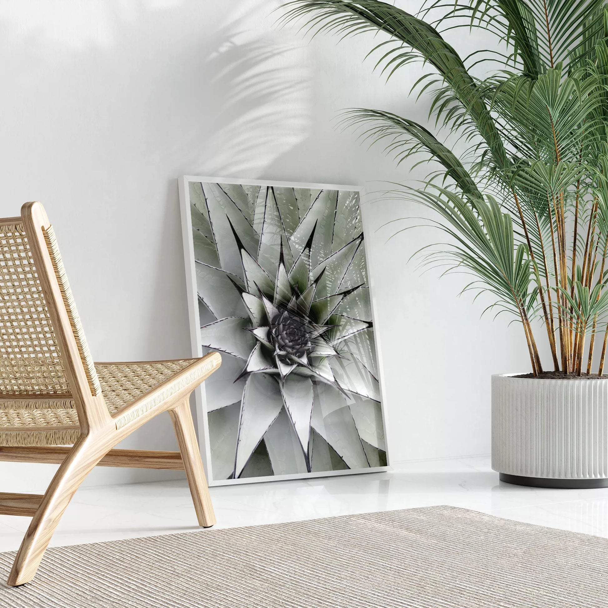 シルバーグレーのアガベの葉が放射状に広がる幾何学的なマクロ写真、モダンなボタニカルアート