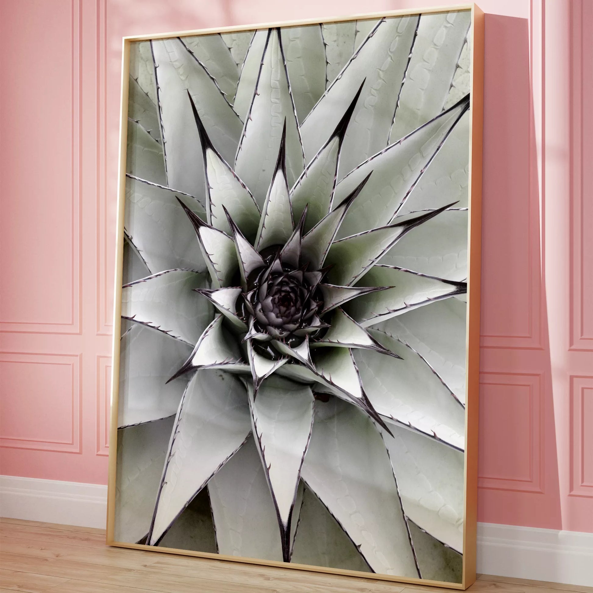 シルバーグレーのアガベの葉が放射状に広がる幾何学的なマクロ写真、モダンなボタニカルアート