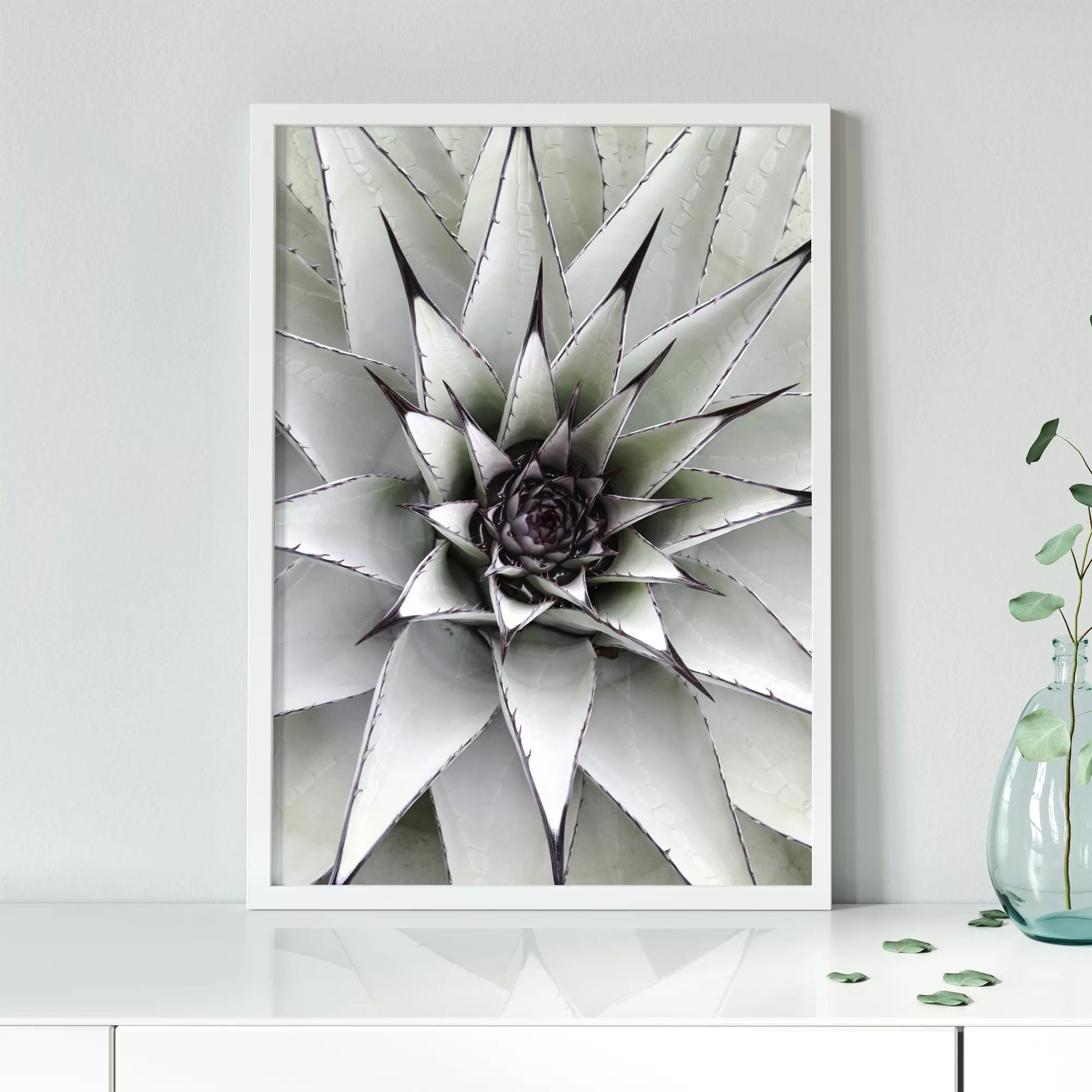 シルバーグレーのアガベの葉が放射状に広がる幾何学的なマクロ写真、モダンなボタニカルアート