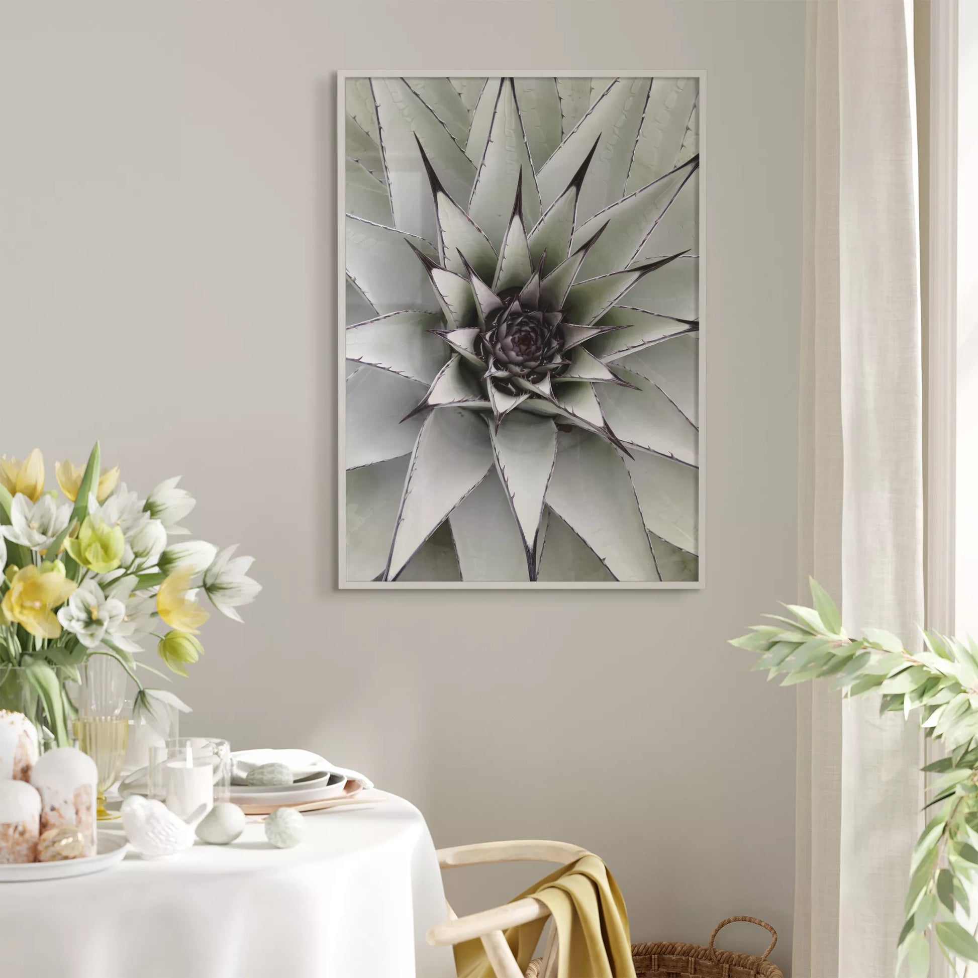 シルバーグレーのアガベの葉が放射状に広がる幾何学的なマクロ写真、モダンなボタニカルアート