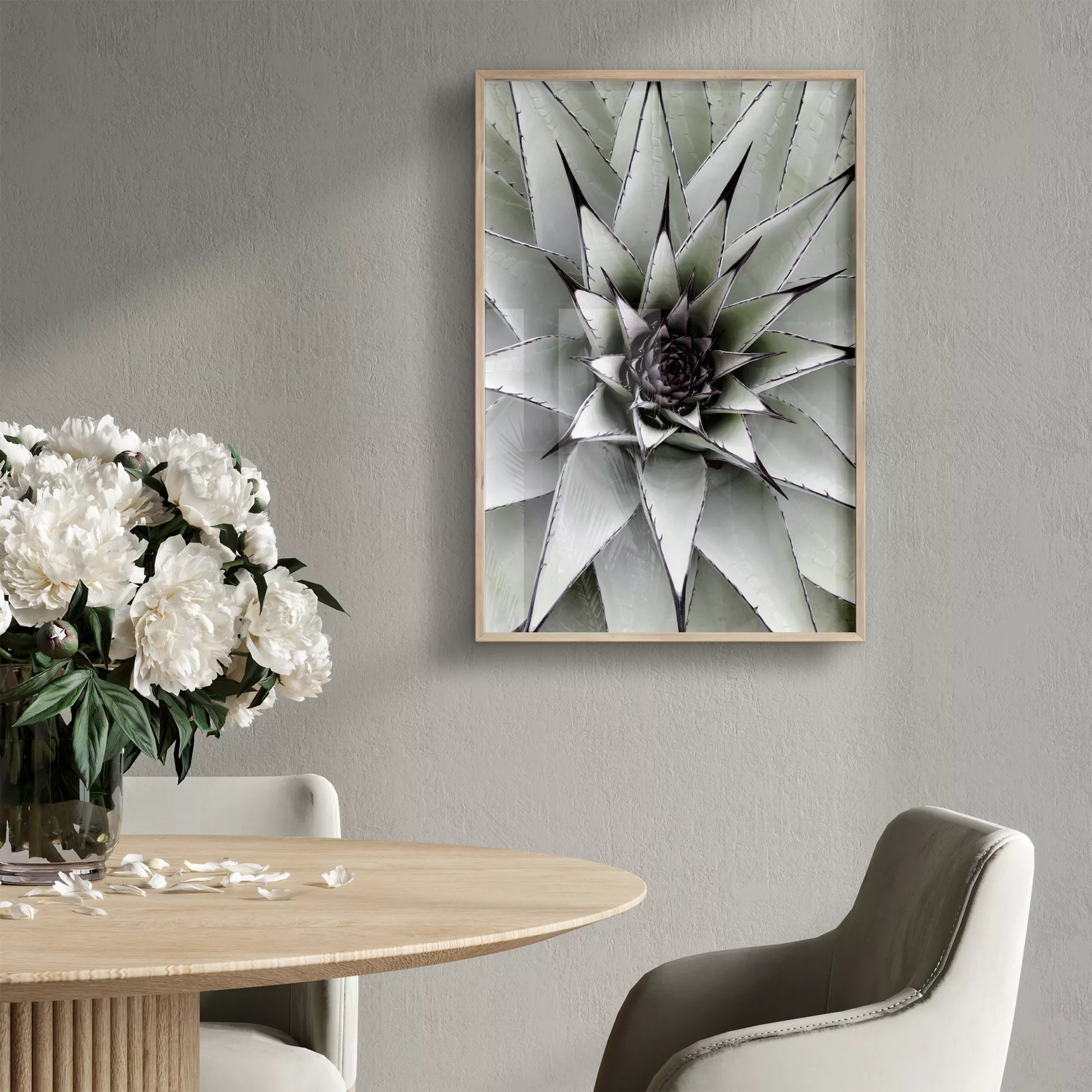 シルバーグレーのアガベの葉が放射状に広がる幾何学的なマクロ写真、モダンなボタニカルアート