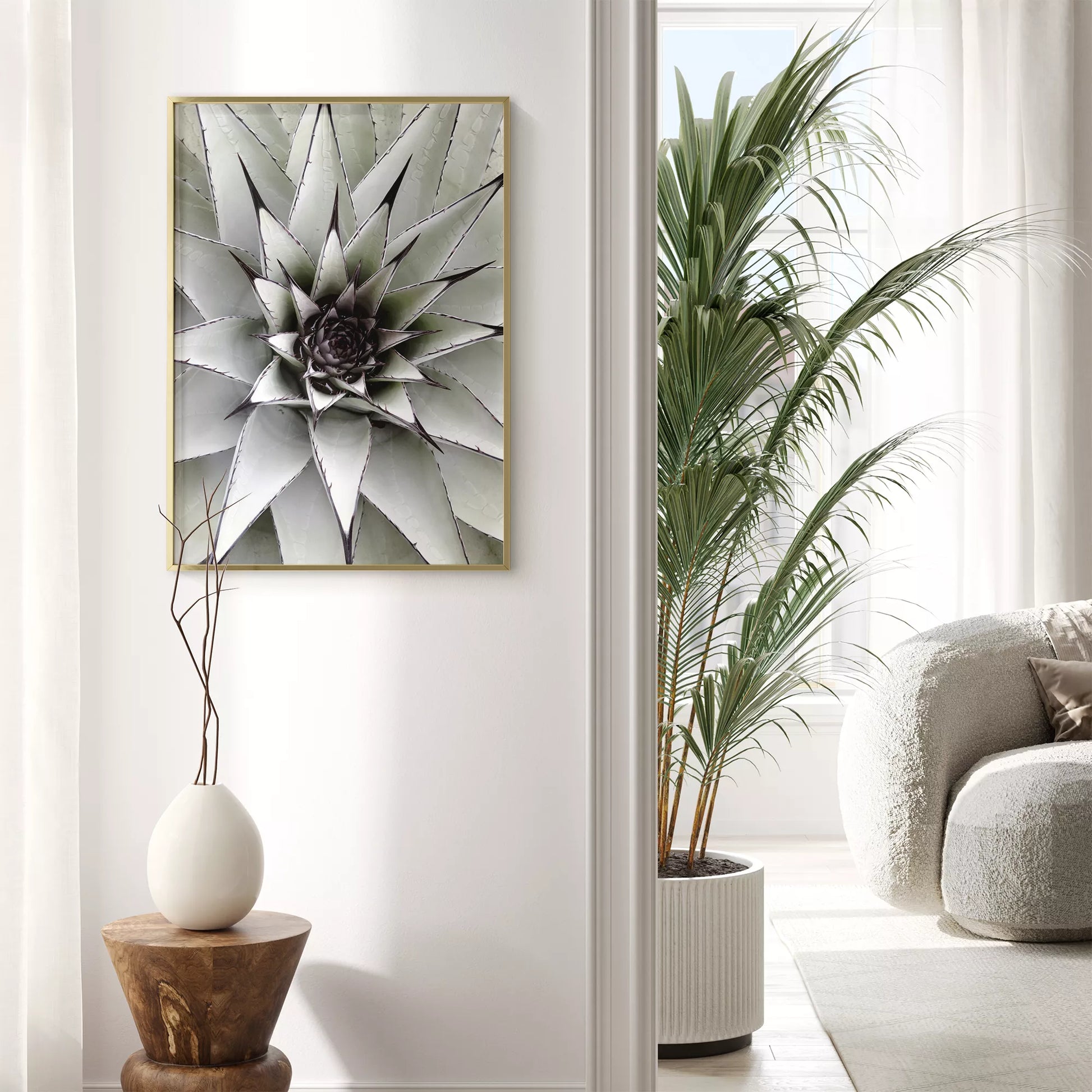 シルバーグレーのアガベの葉が放射状に広がる幾何学的なマクロ写真、モダンなボタニカルアート