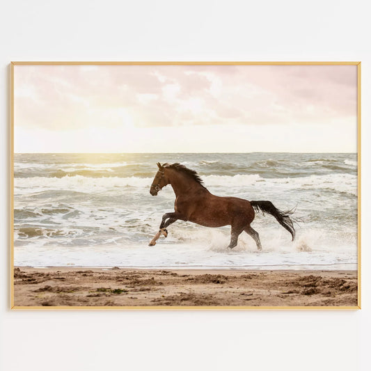海辺を駆ける馬のモダンアートポスター