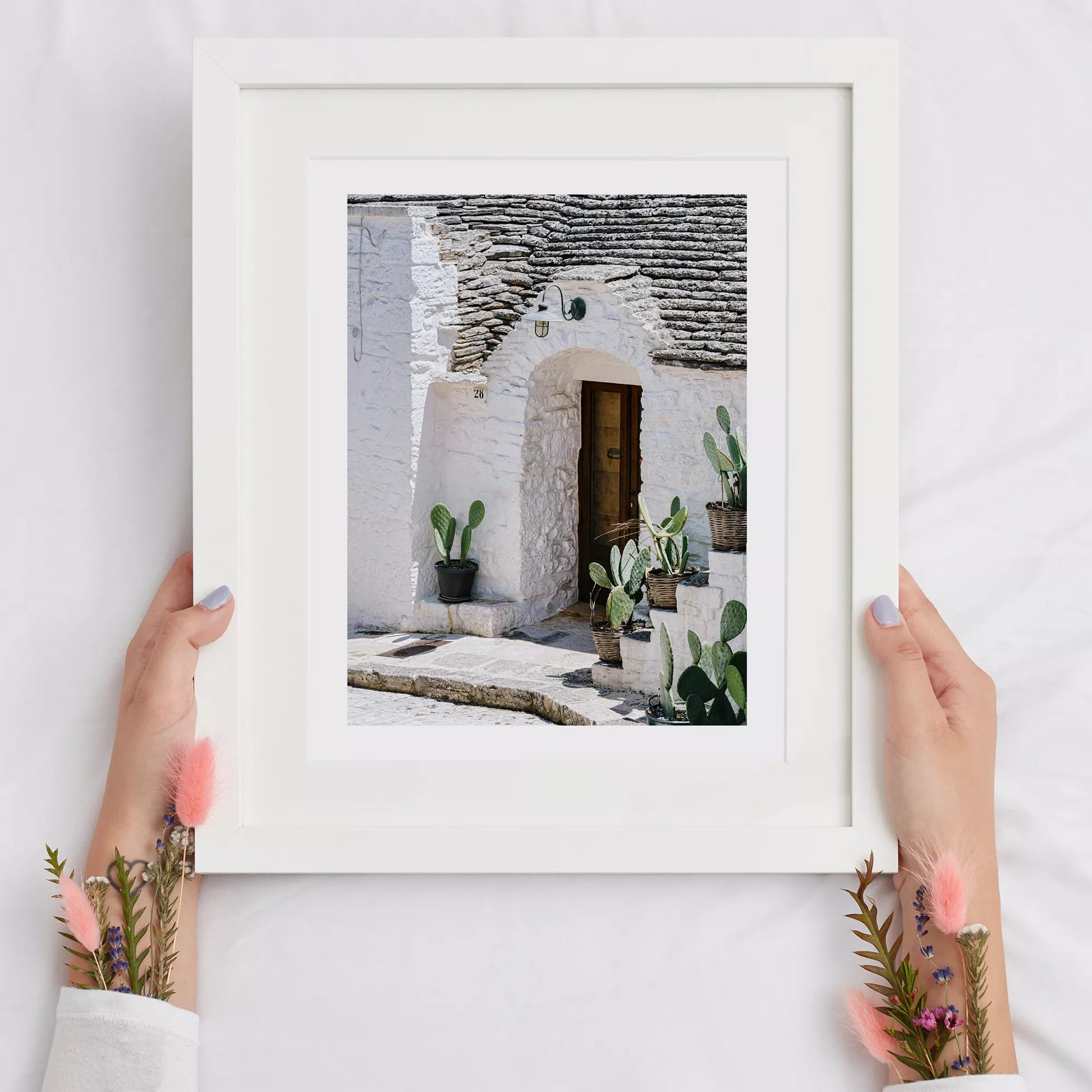 白壁の家の木製ドアとサボテンが飾られた地中海風の玄関口