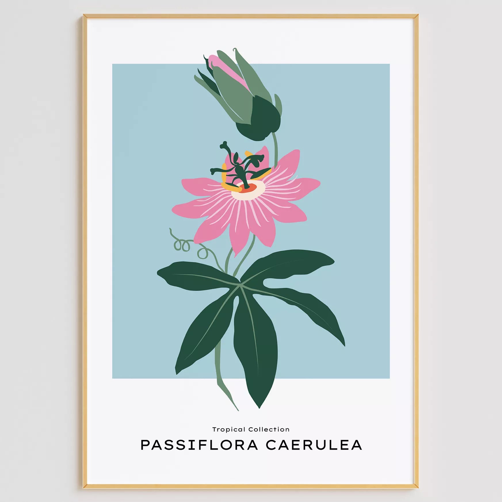 トケイソウのボタニカルアートポスター 北欧デザイン シンプルモダン