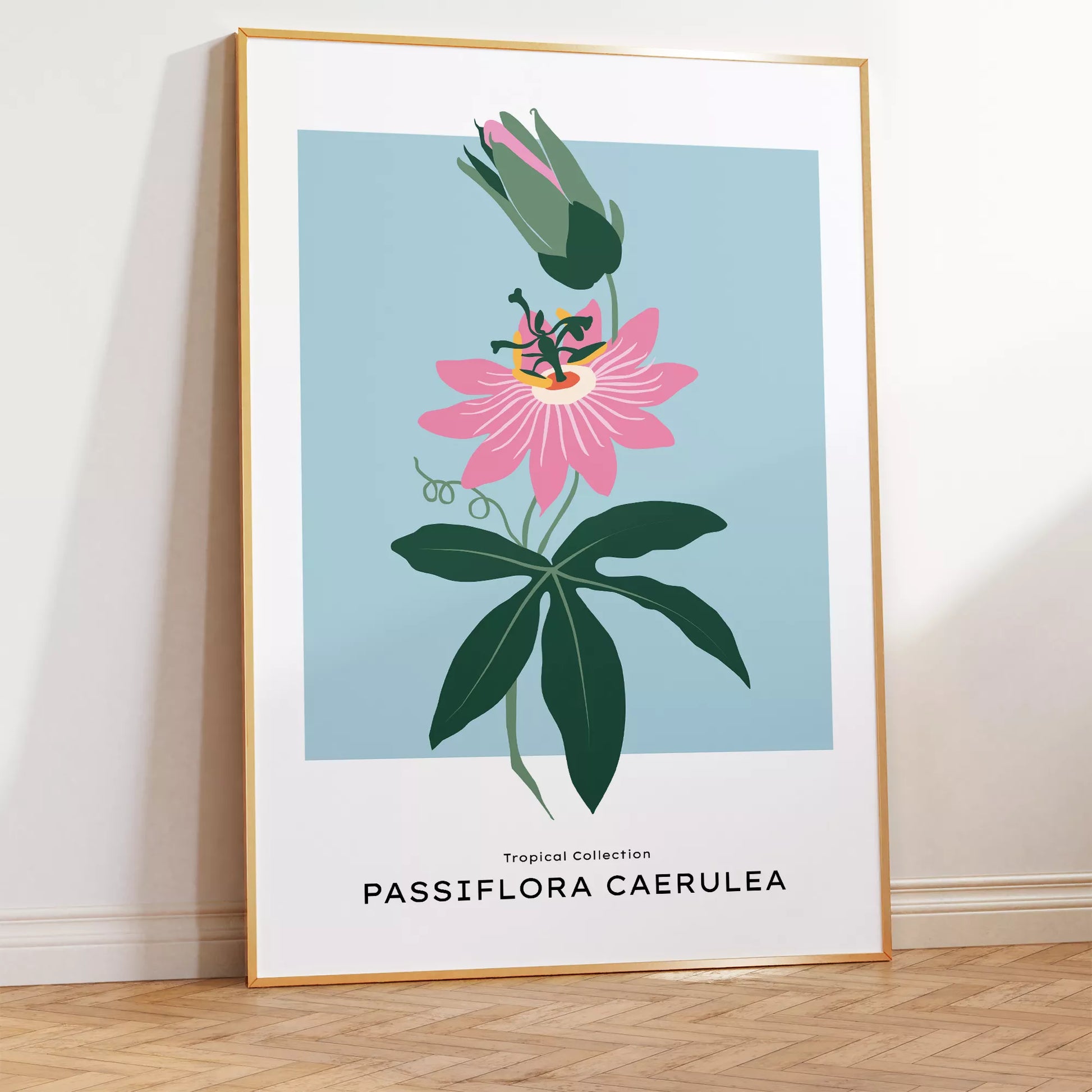 トケイソウのボタニカルアートポスター 北欧デザイン シンプルモダン