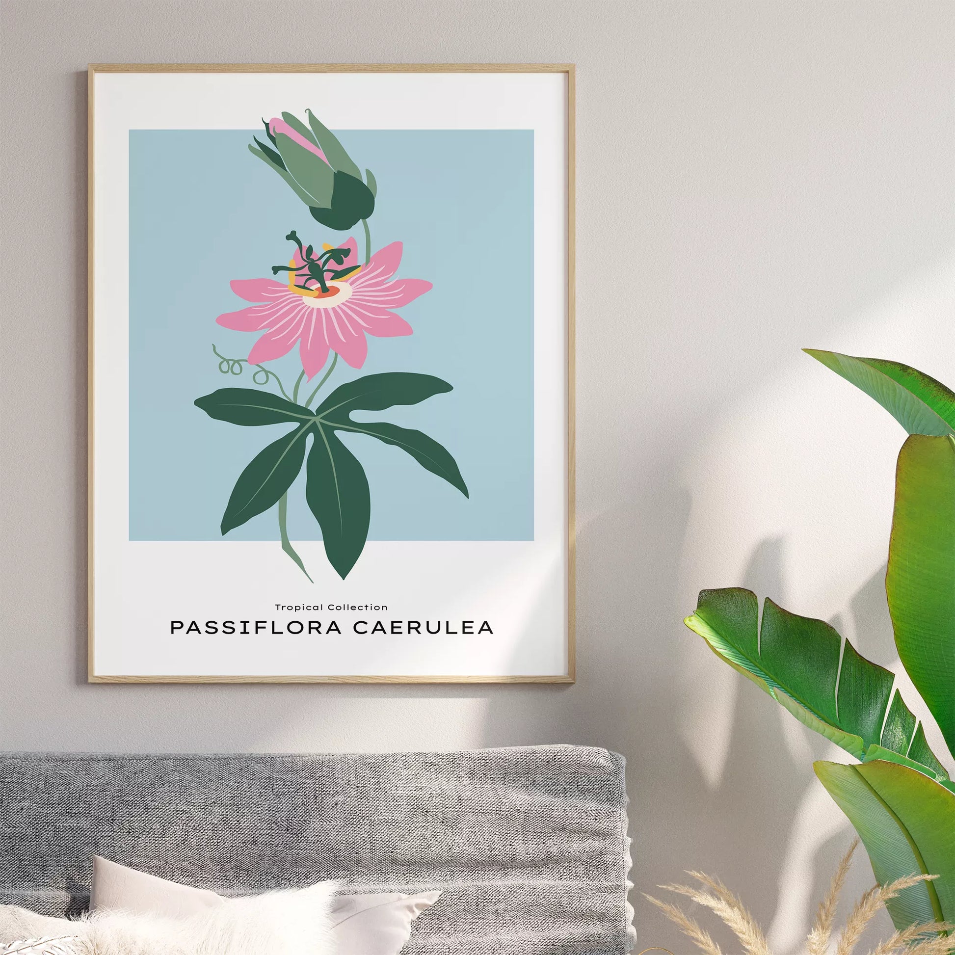 トケイソウのボタニカルアートポスター 北欧デザイン シンプルモダン