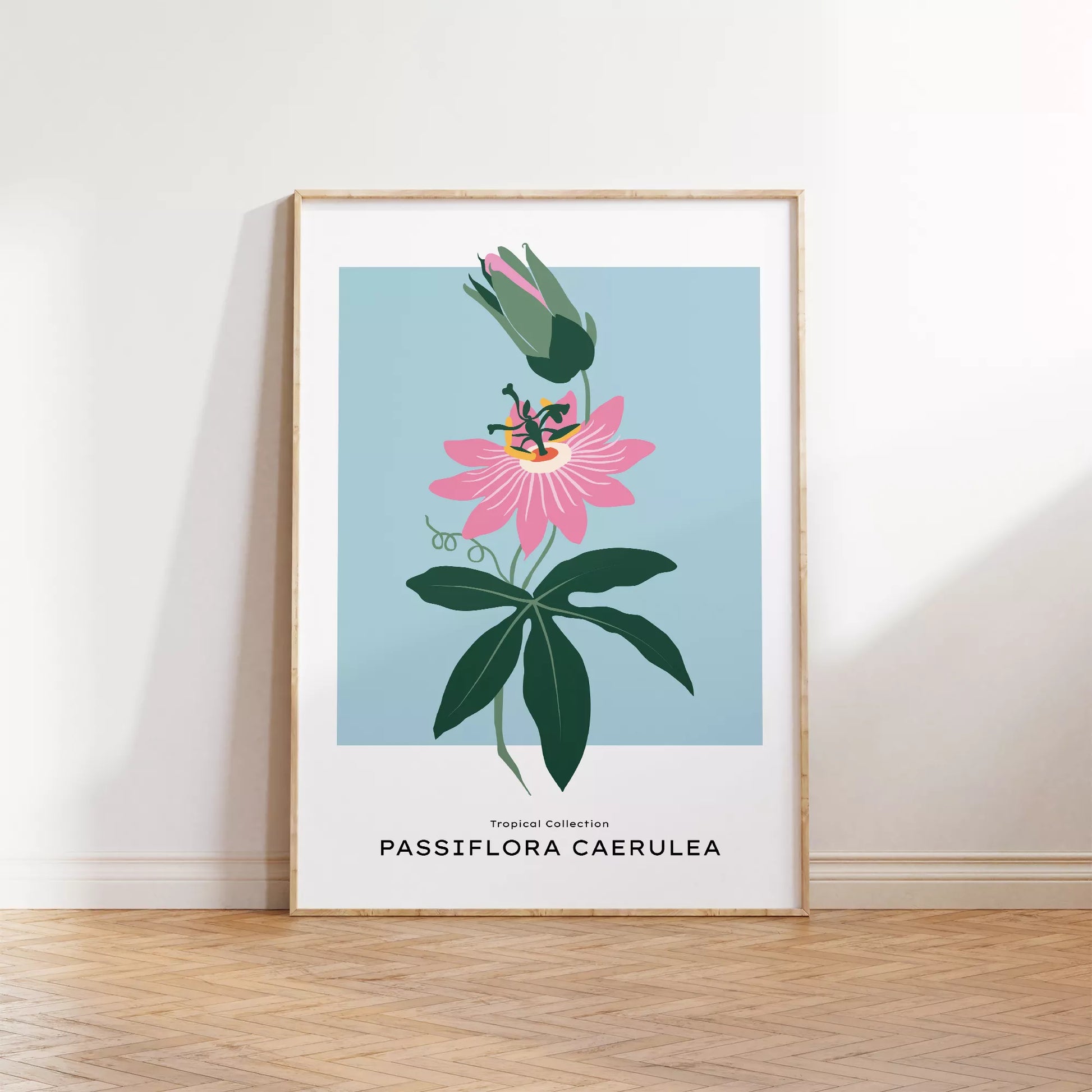 トケイソウのボタニカルアートポスター 北欧デザイン シンプルモダン