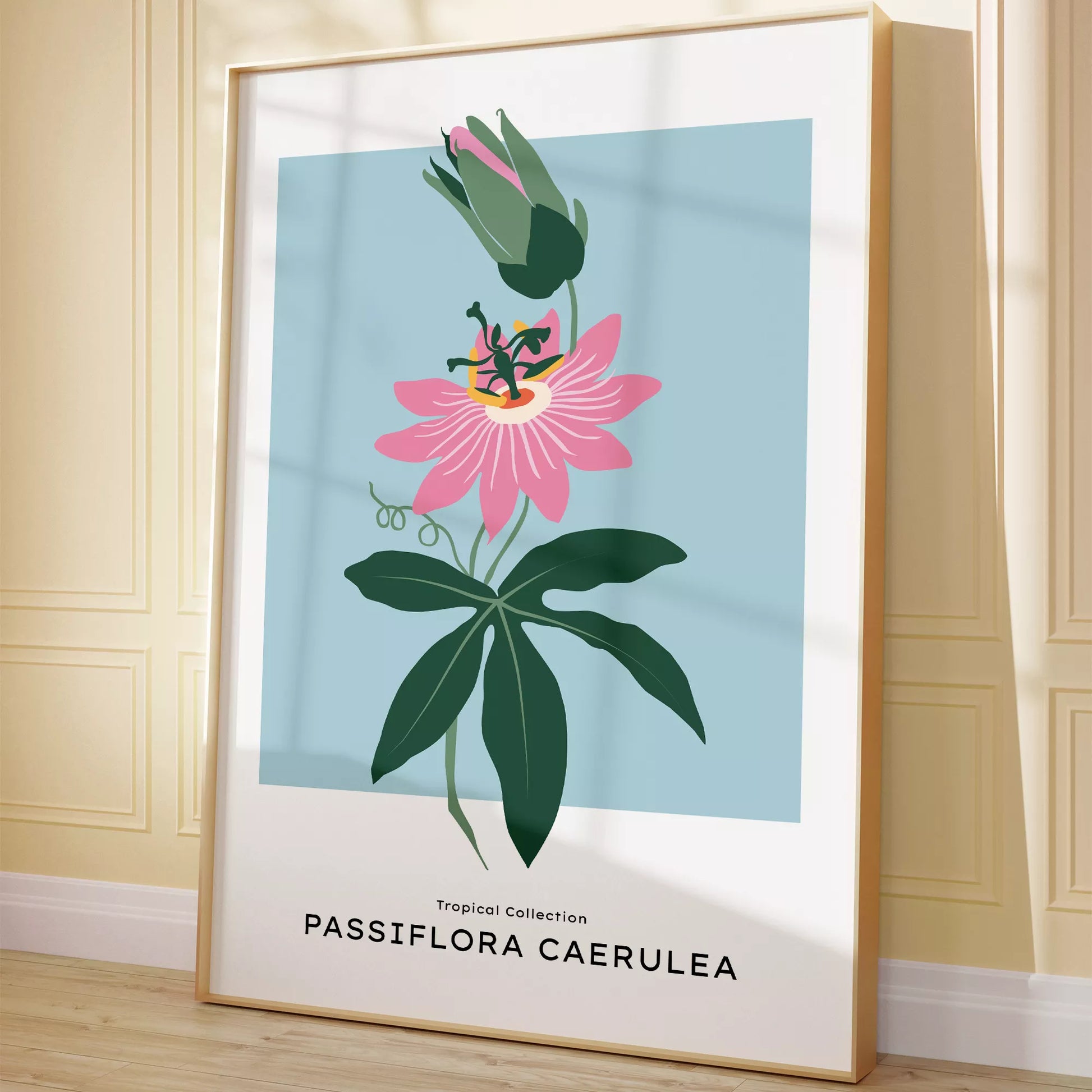 トケイソウのボタニカルアートポスター 北欧デザイン シンプルモダン