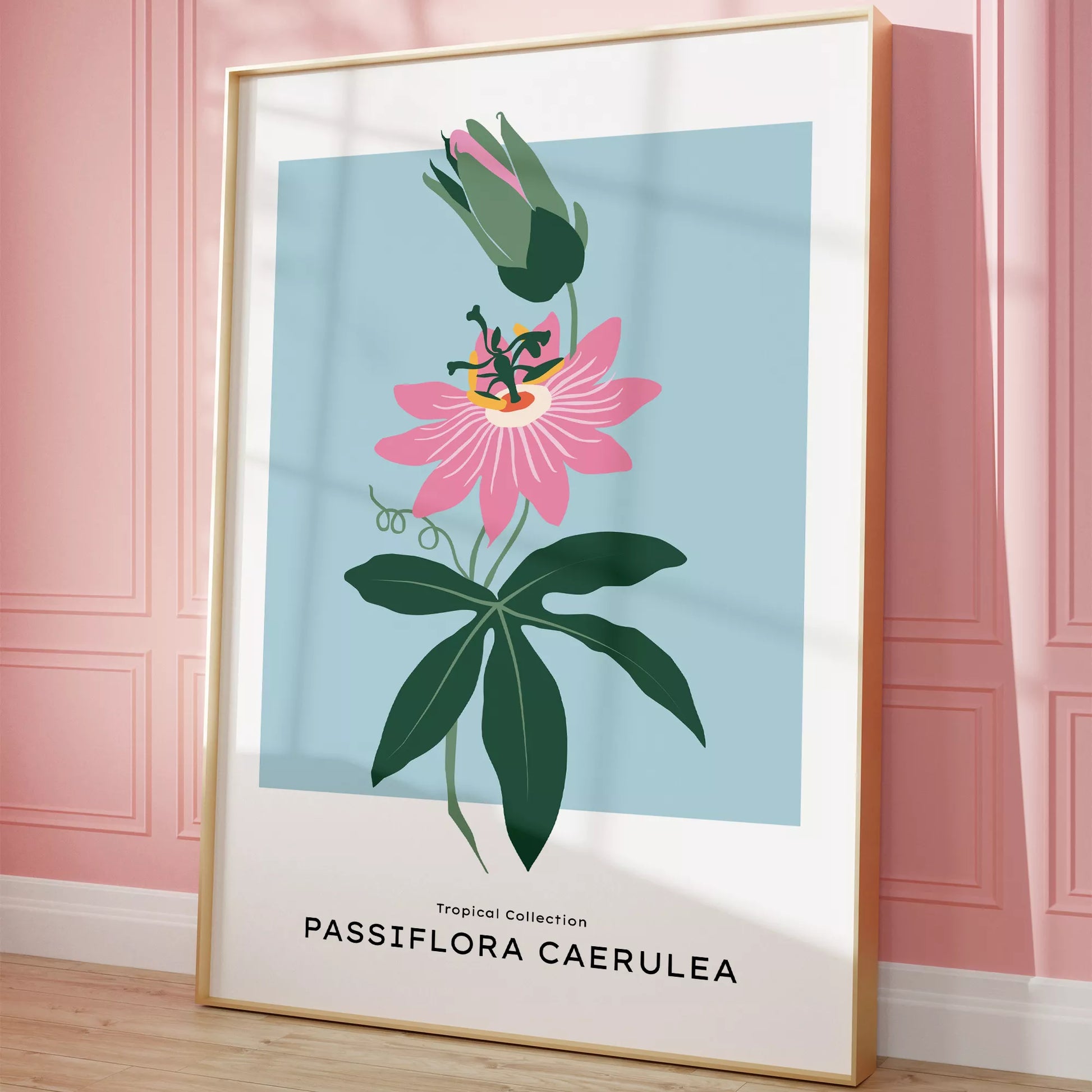 トケイソウのボタニカルアートポスター 北欧デザイン シンプルモダン