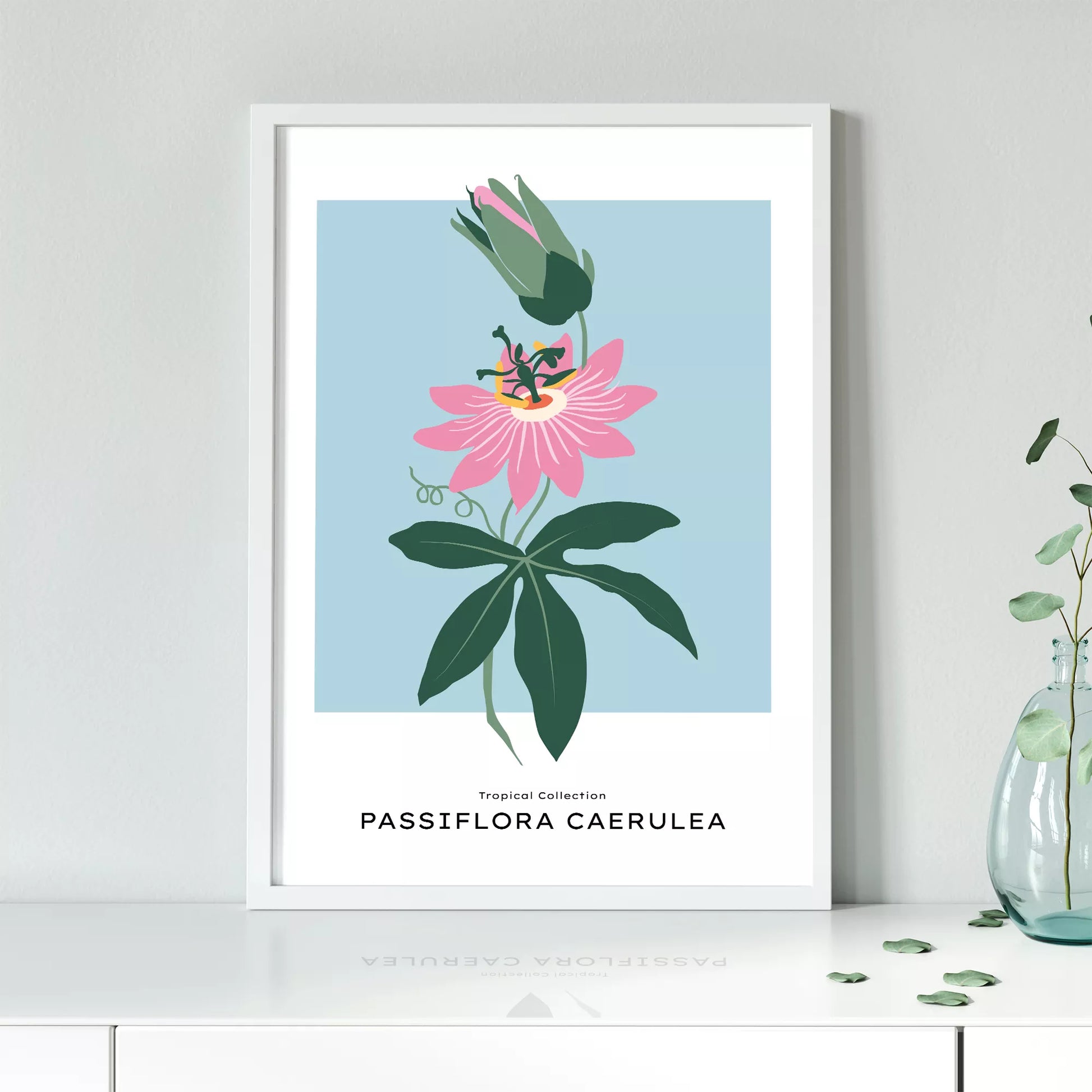 トケイソウのボタニカルアートポスター 北欧デザイン シンプルモダン