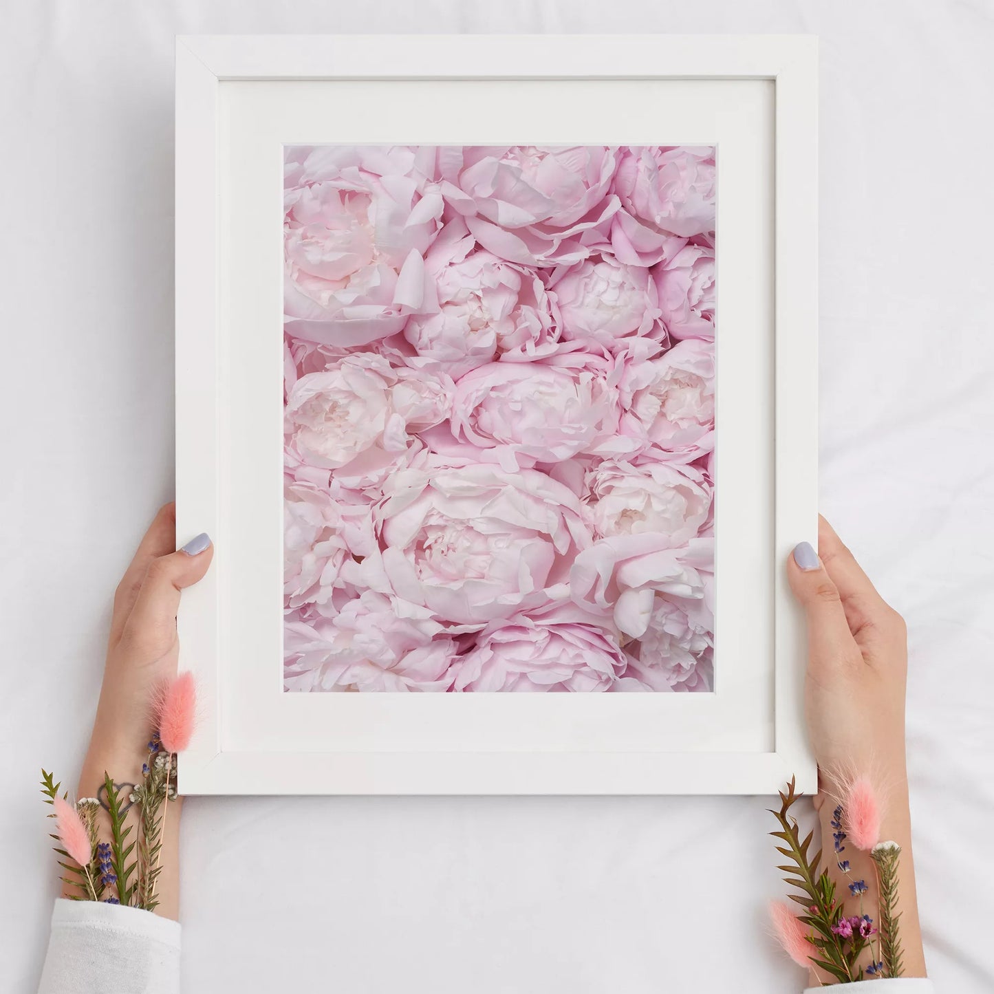 満開の淡いピンク色の牡丹の花々が織りなす優美な春のアート