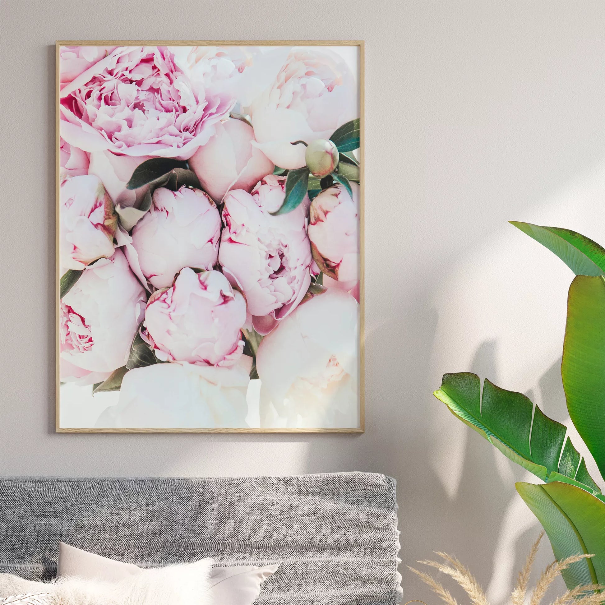 ピンクの芍薬の花が美しいアートプリント