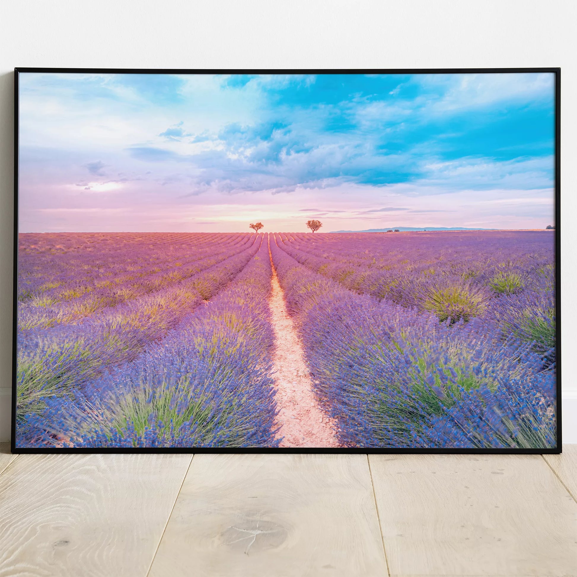 夕暮れのラベンダー畑と淡いピンク色の空、プロヴァンス風景