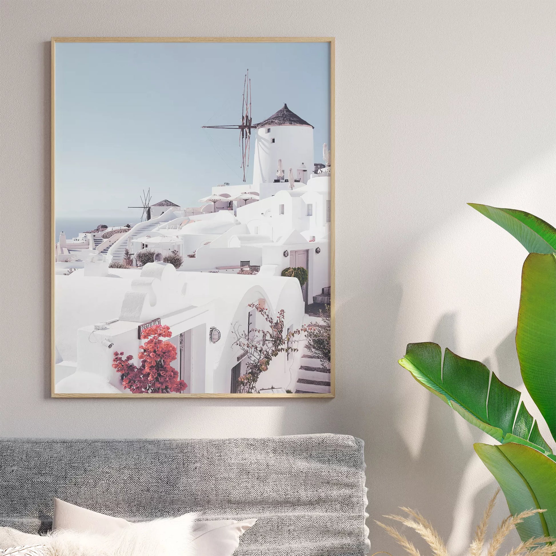 サントリーニ島の白壁の建物と風車、赤いブーゲンビリアが咲く地中海風景