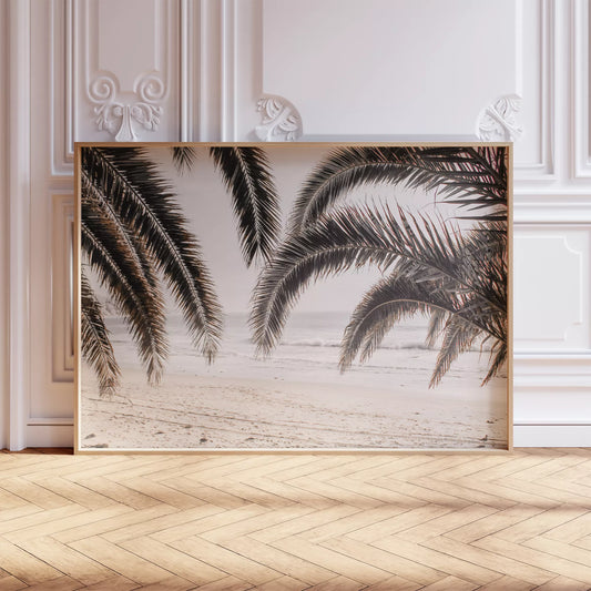 モノクロームのヤシの葉と砂浜、波打ち際の癒し系ビーチ風景