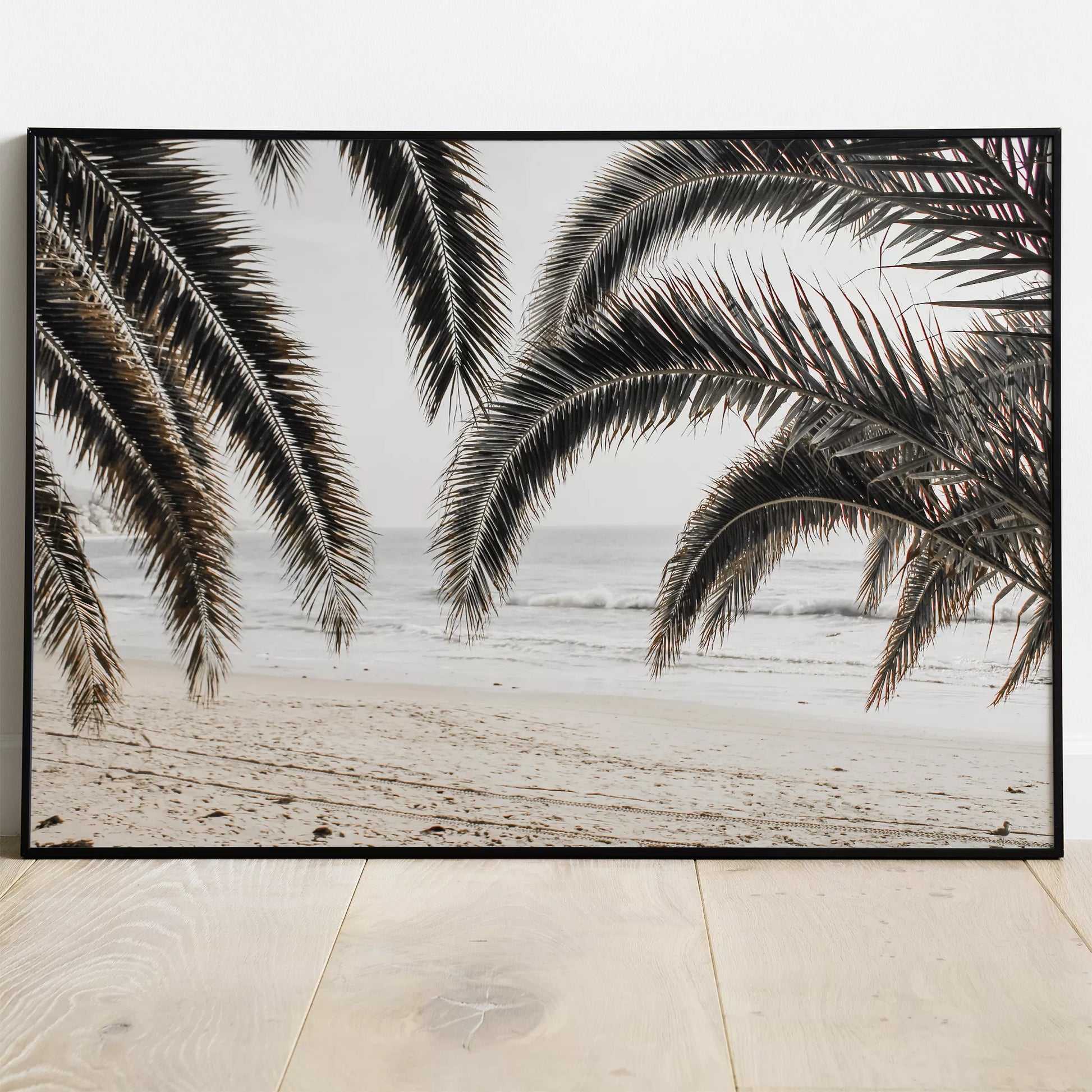 モノクロームのヤシの葉と砂浜、波打ち際の癒し系ビーチ風景