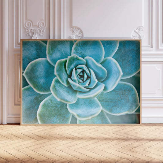 ターコイズブルーの多肉植物のマクロ撮影アート