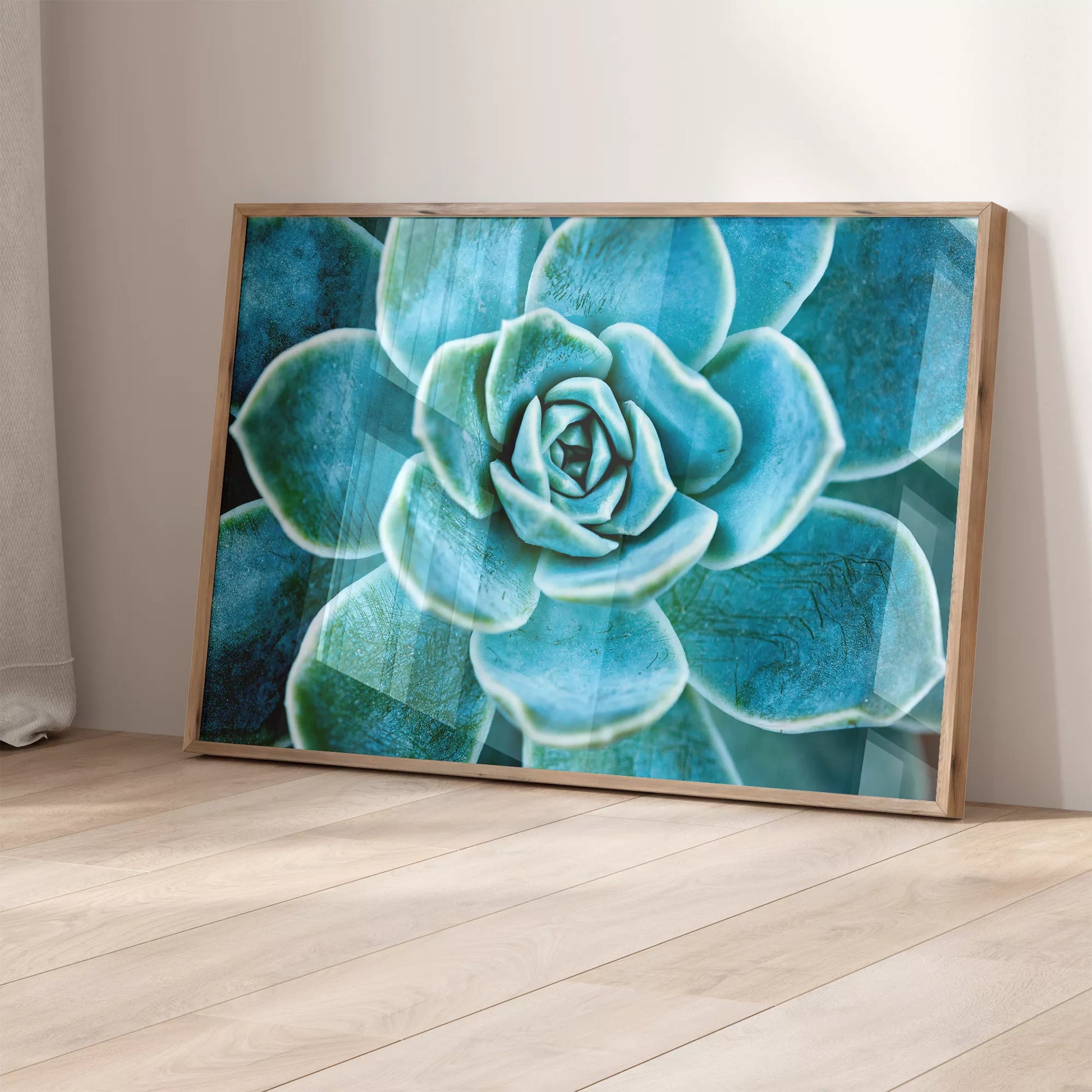 ターコイズブルーの多肉植物のマクロ撮影アート