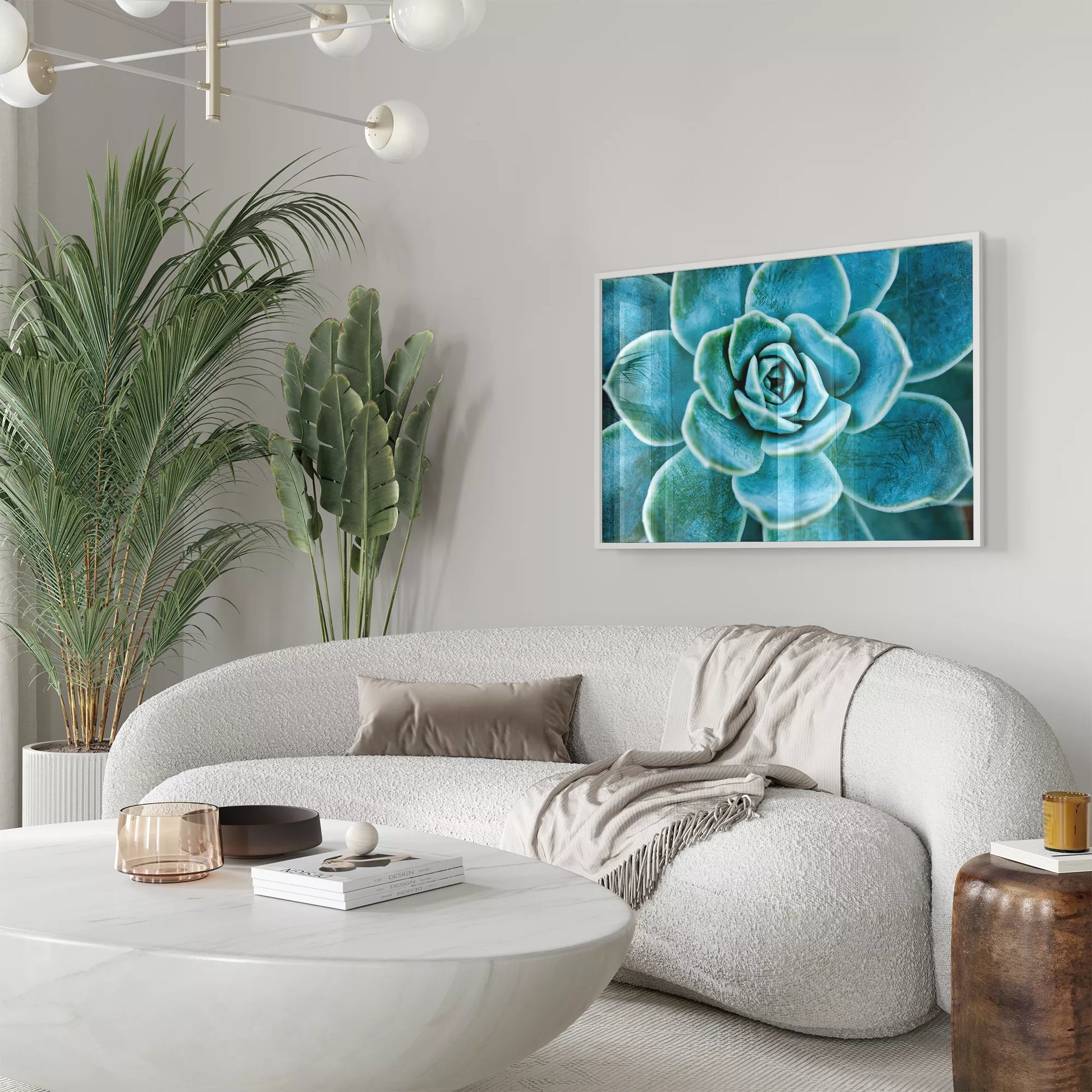 ターコイズブルーの多肉植物のマクロ撮影アート