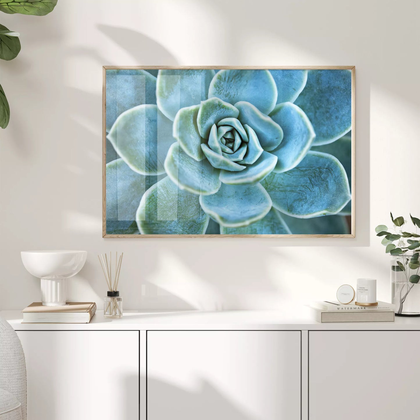 ターコイズブルーの多肉植物のマクロ撮影アート