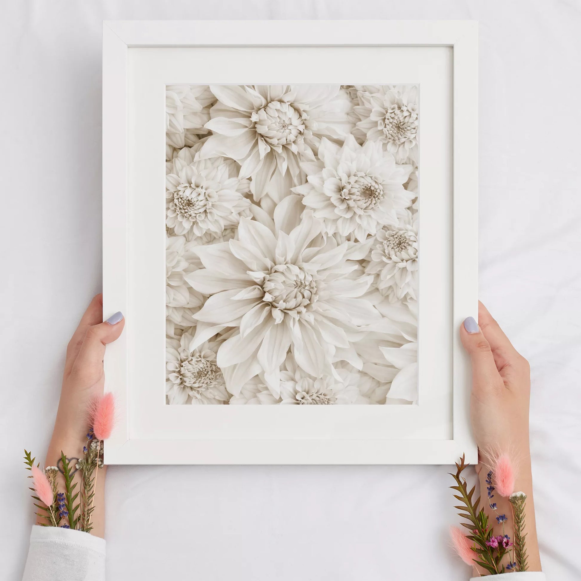 純白のダリアの花々が織りなす優雅なボタニカルアート