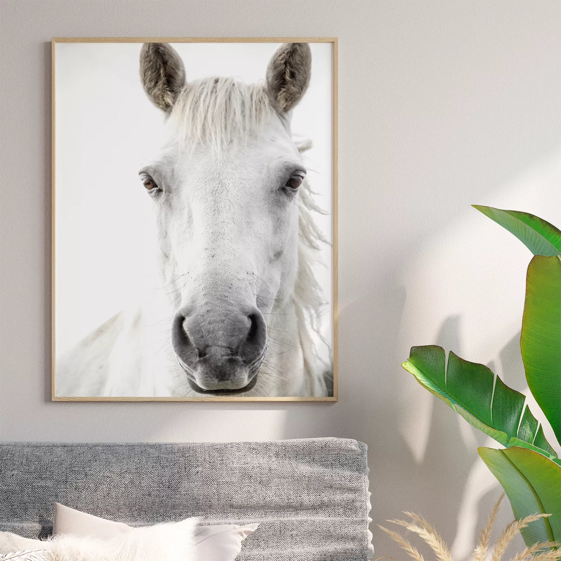 白馬の横顔のミニマリストアートプリント、モノクロ写真風