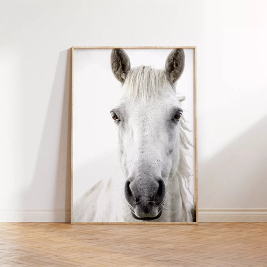 白馬の横顔のミニマリストアートプリント、モノクロ写真風