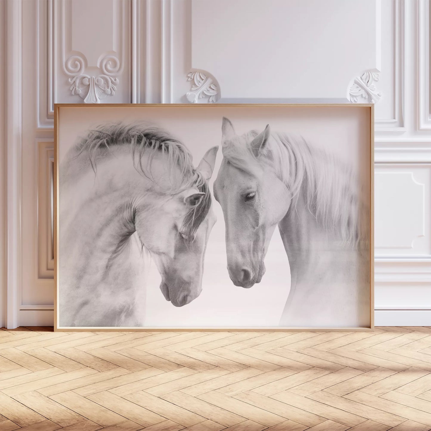 優美な2頭の白馬のモノクロポートレート