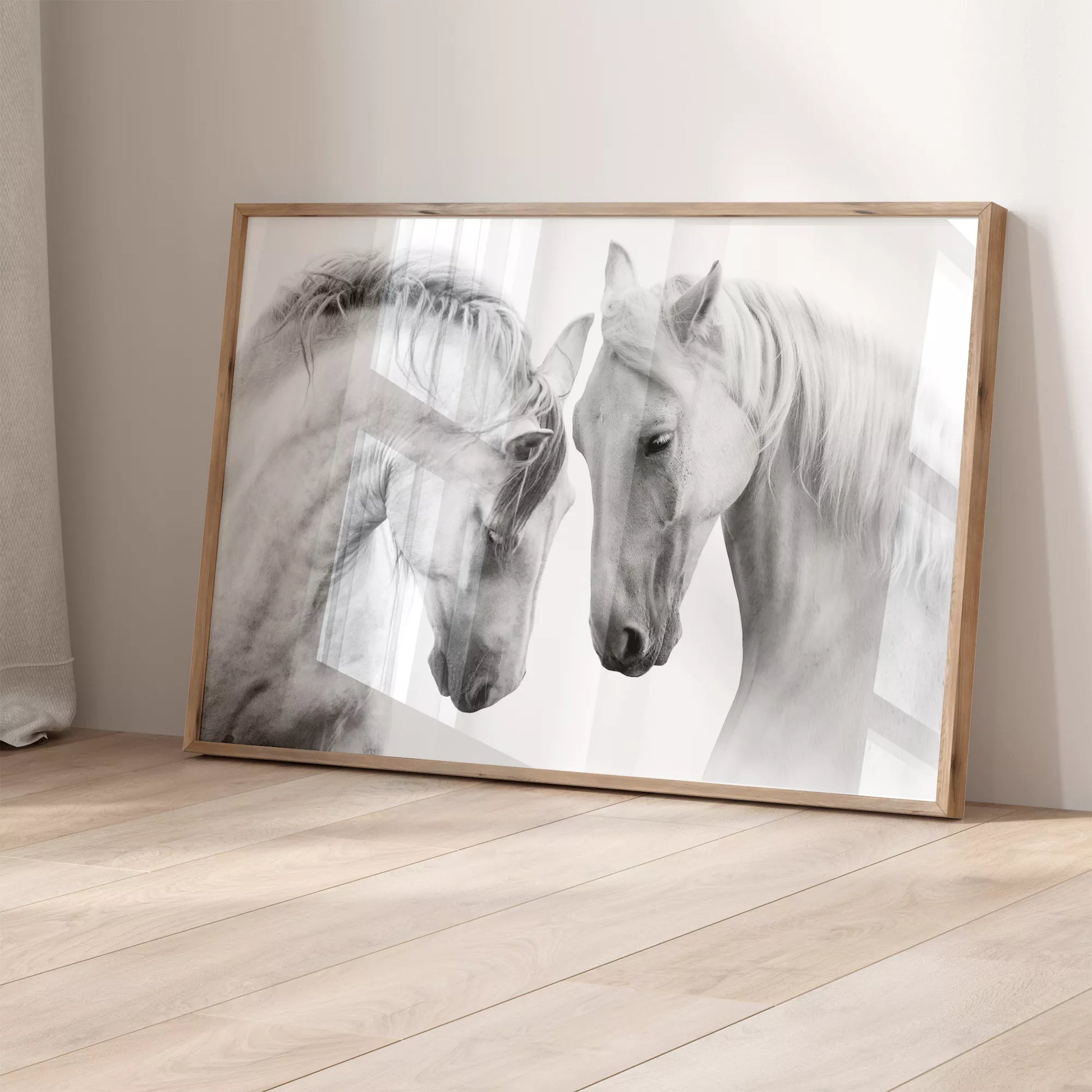 優美な2頭の白馬のモノクロポートレート