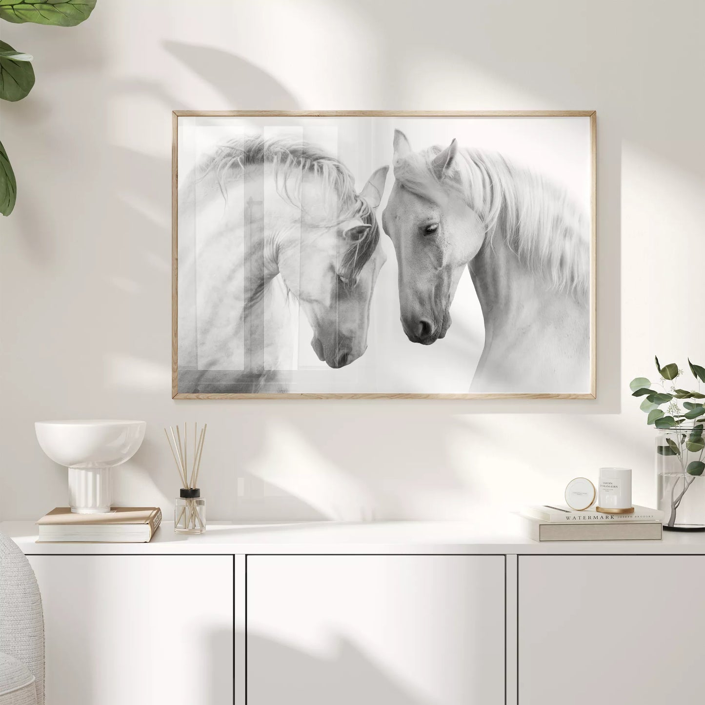 優美な2頭の白馬のモノクロポートレート