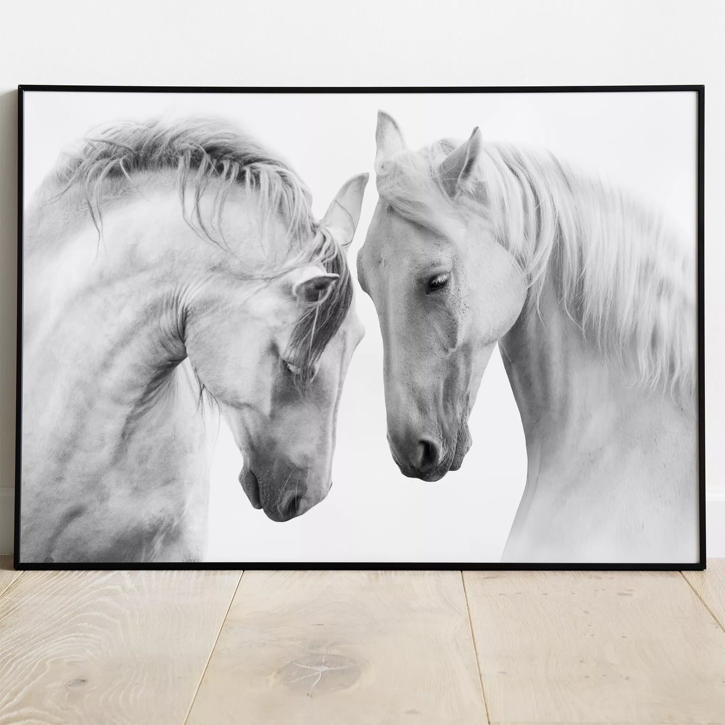 優美な2頭の白馬のモノクロポートレート