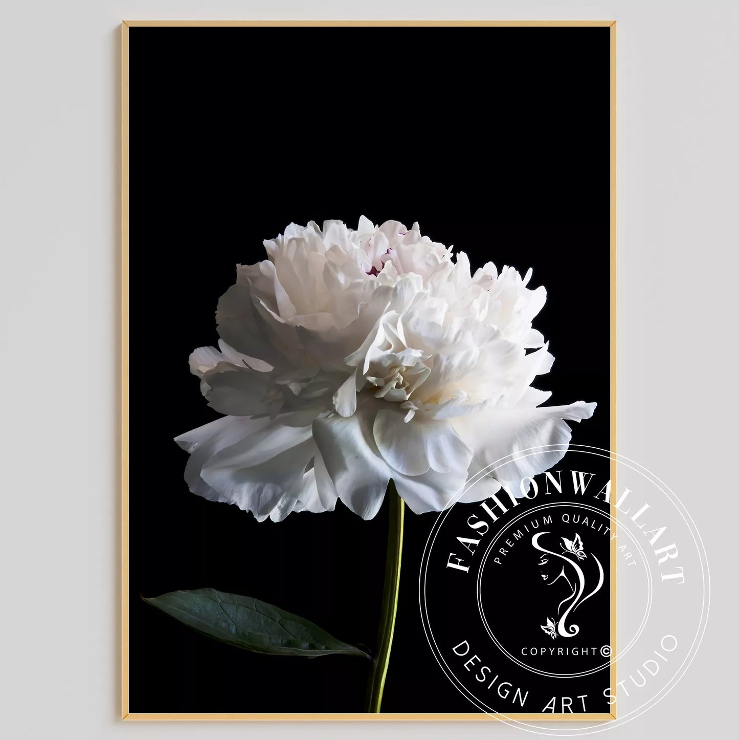 黒背景に咲く純白の牡丹の花 モダンでミニマルなボタニカルアート