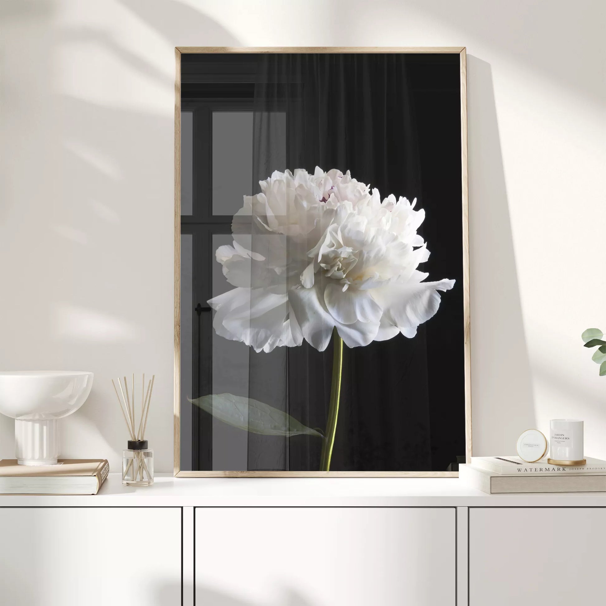 黒背景に咲く純白の牡丹の花 モダンでミニマルなボタニカルアート